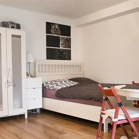 Nice Apartmens Near Heidelberg Apartment